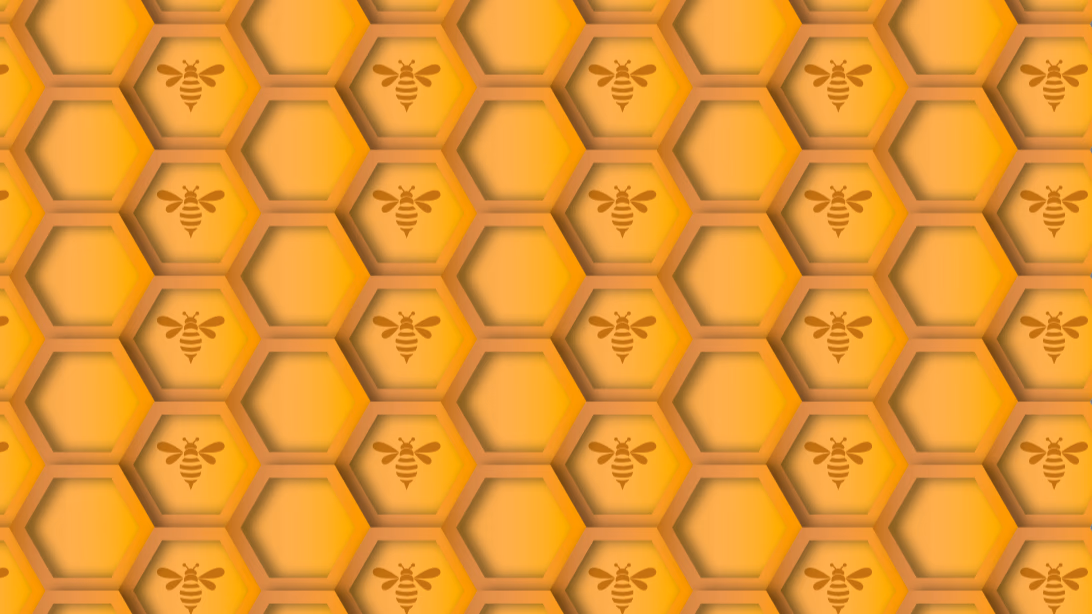 image de mon projet personnel Production de motifs en tous genres